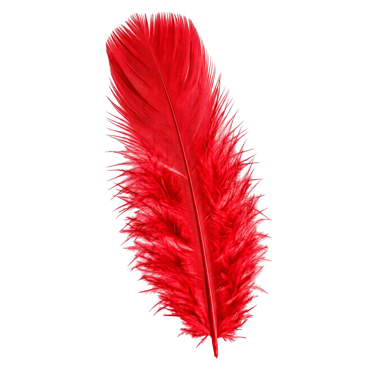 Pack 50 Plumas Rojas.