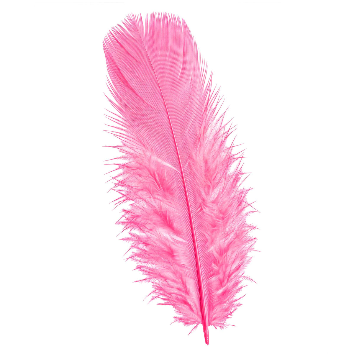 Pack 50Plumas Rosa Oscuro.