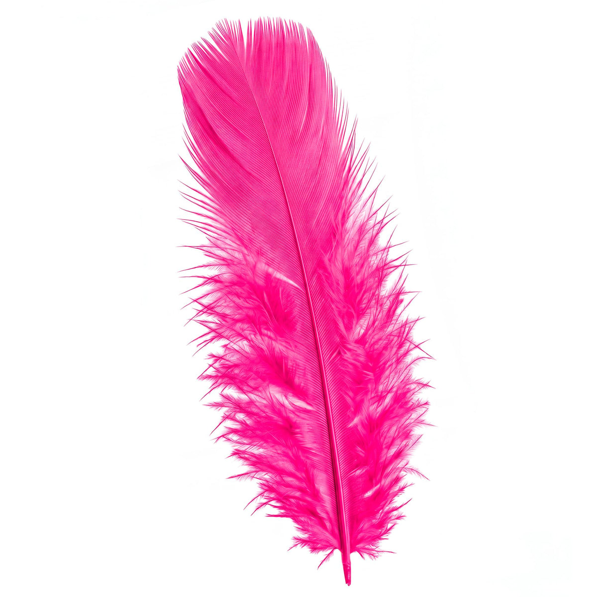 Pack 50 Plumas Fucsia para Disfraz