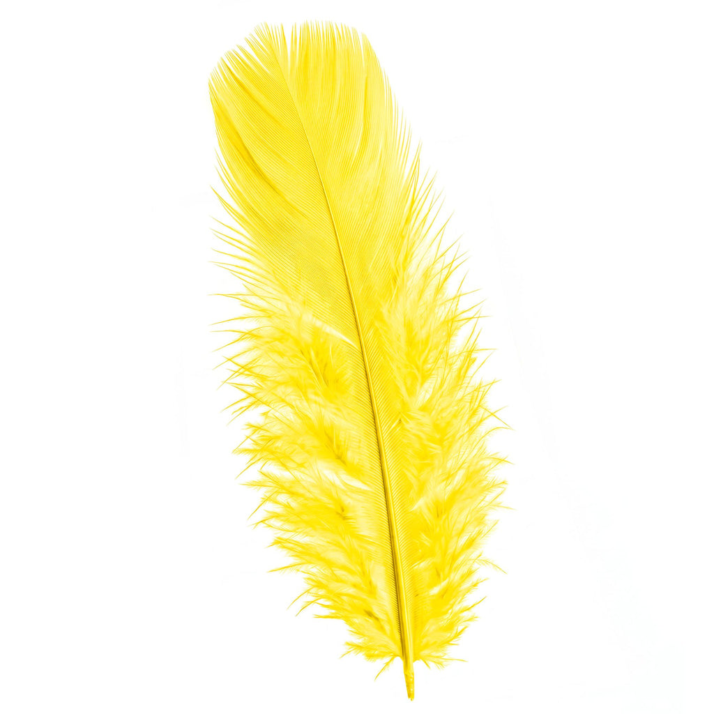 Pack 50 Plumas Amarillas.