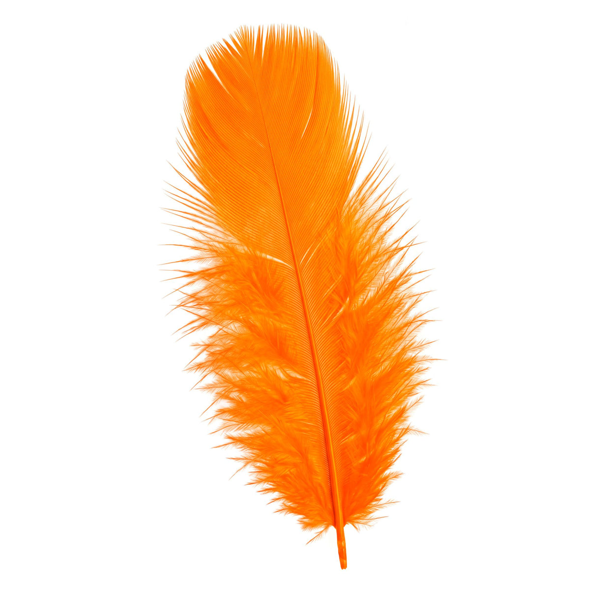 Pack 50 Plumas Naranjas.
