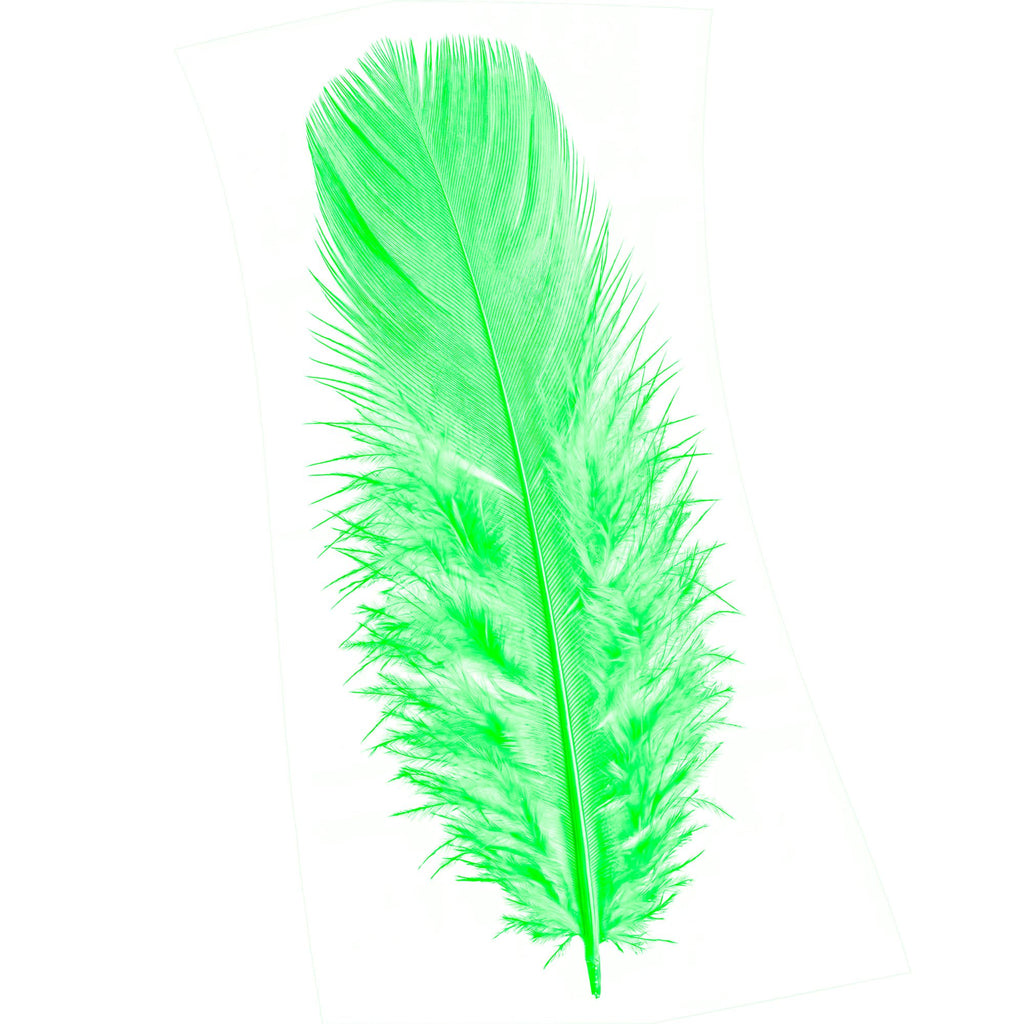 Pack 50 Plumas Verdes.