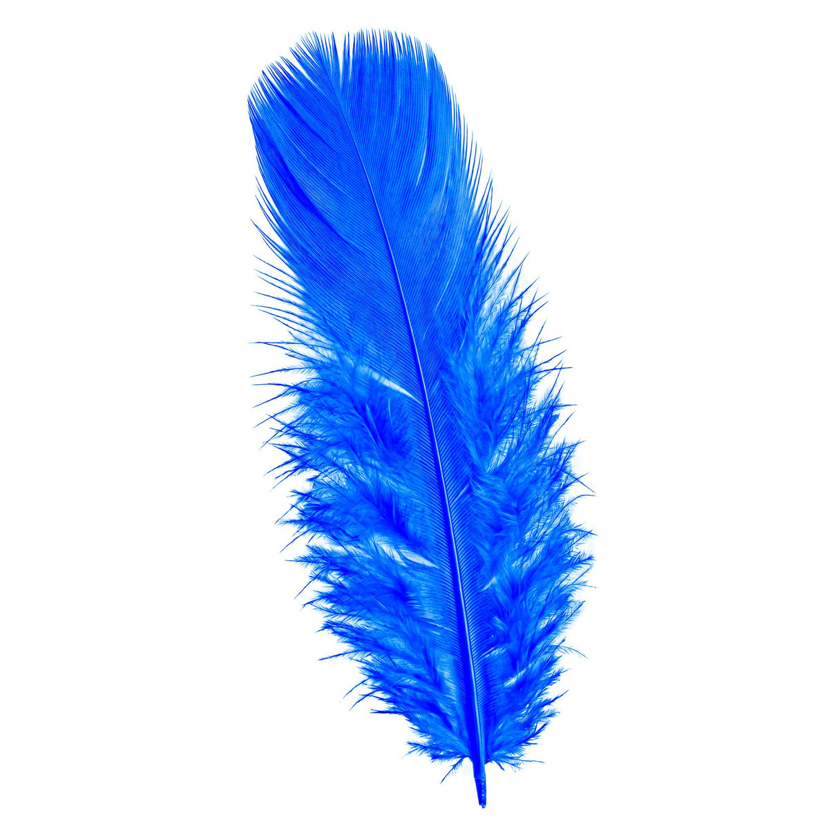 Pack 50 Plumas