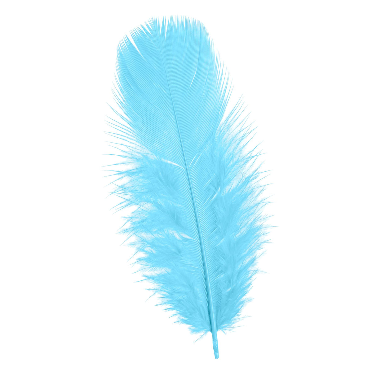 Pack 50 Plumas Azul Turquesa.