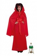 Adult Women's Sorceress Costume - Dress with Cape and Hood
