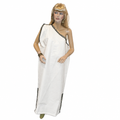 Women's Plus Size Roman Tunic Costume