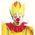 Multicolor Clown Wig