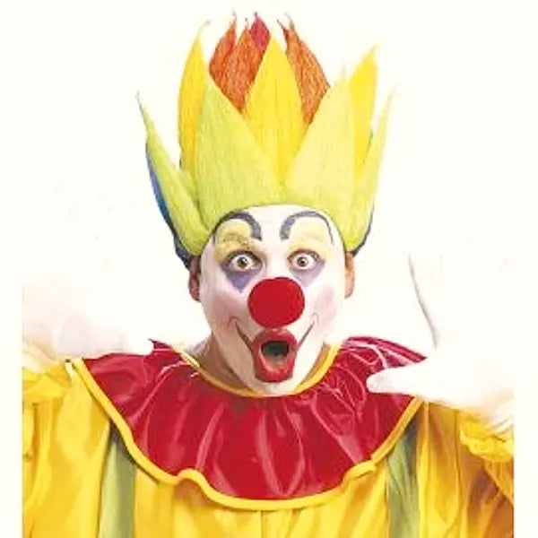 Multicolor Clown Wig