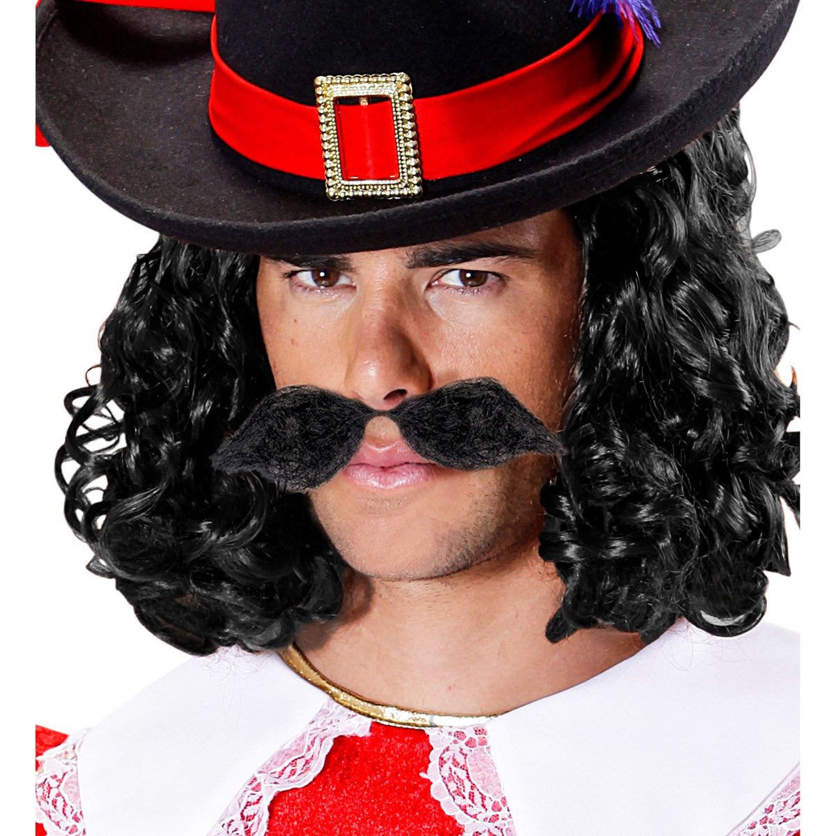 Bigote Schnauzer Negro
