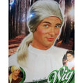 Ponytail Wig