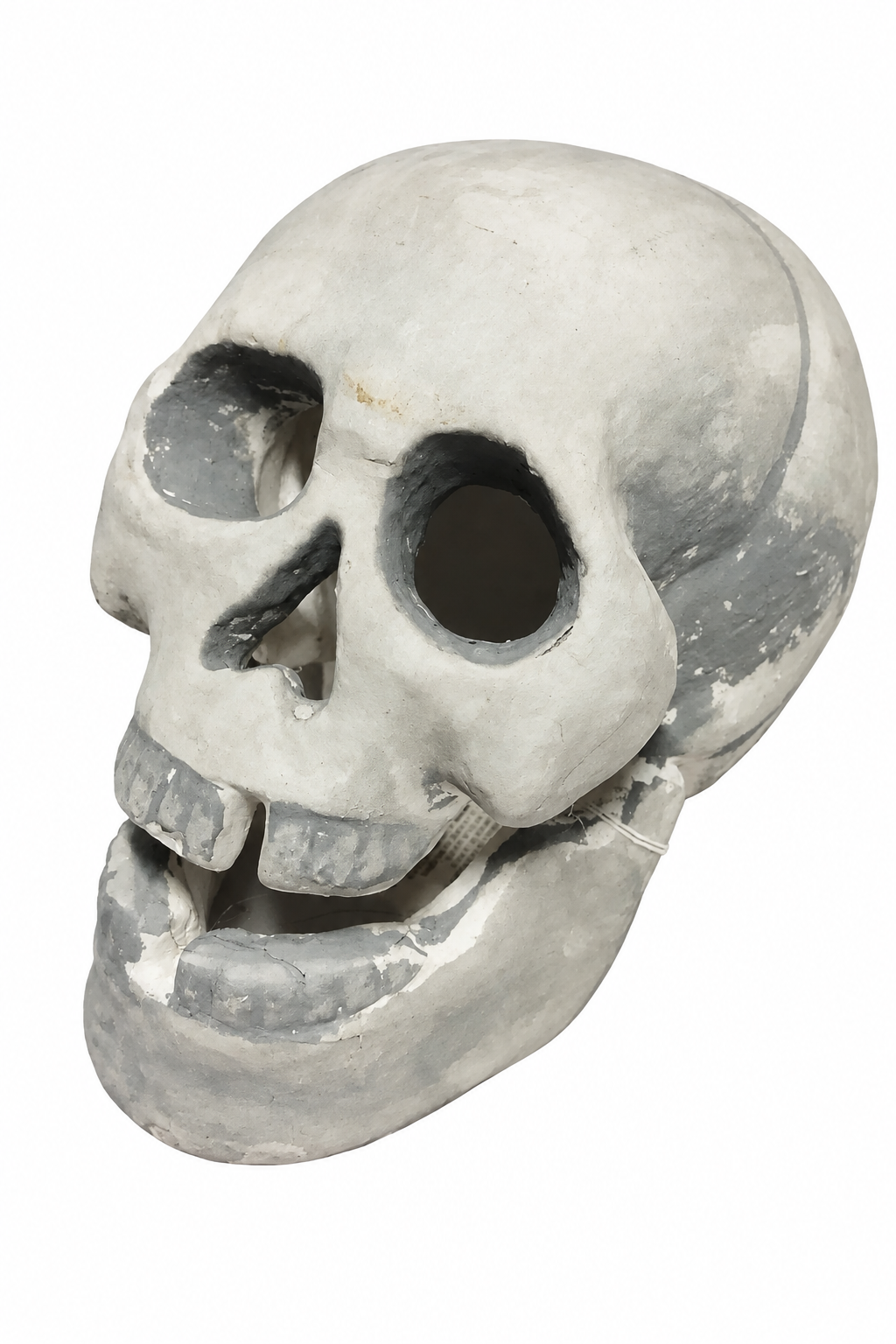 Calavera Luminosa Decorativa