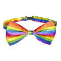 Rainbow Bow Tie.