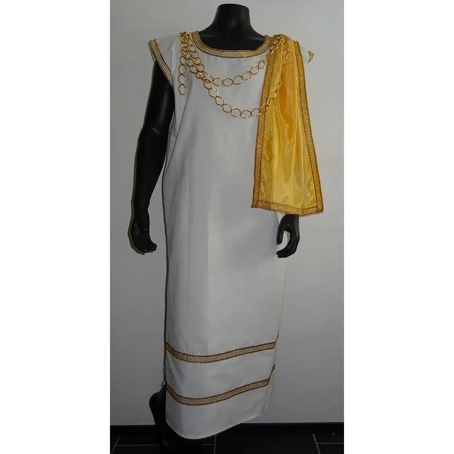 Golden Roman Tunic and Toga Costume Adult | Handmade