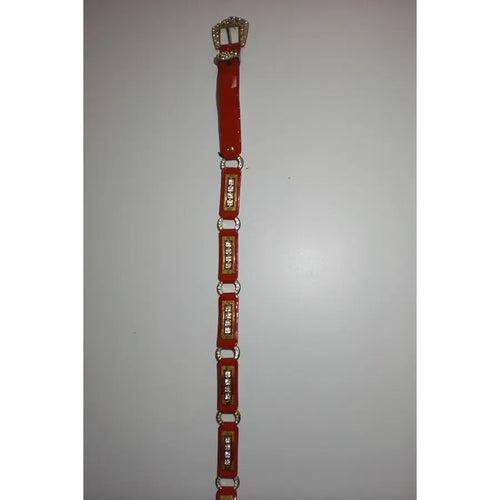 Cinturon Rojo Brillantes