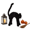 Gato Negro Deluxe
