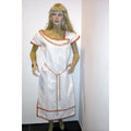 Disfraz Vestido Tunica Romana Loma