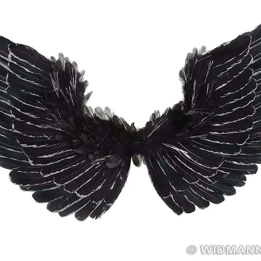 Alas Plumas Negra