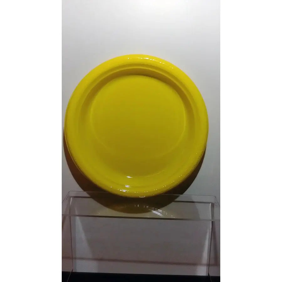 Small Yellow Plastic Plates