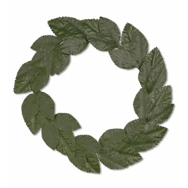 Corona de Laurel Verde Unisex