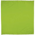 Pañuelo Verde Cuadrado