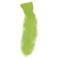 Pack 50 Plumas Verdes.