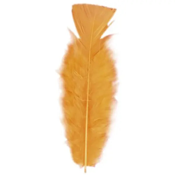 Pack 50 Plumas Naranjas.