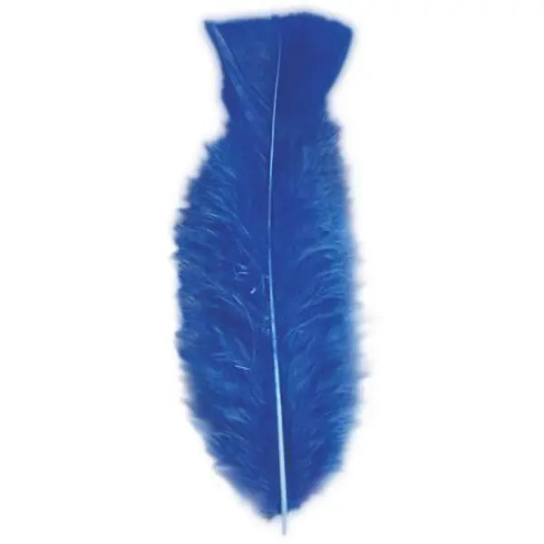 Pack 50 Plumas