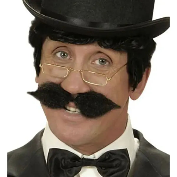 Bigote Schnauzer Negro