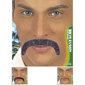 Bigote Grisaceo