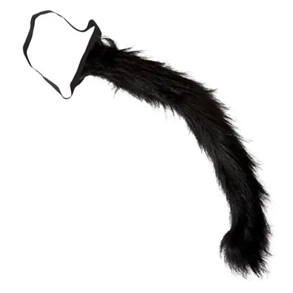 Cola de Gato Negro – Widmann