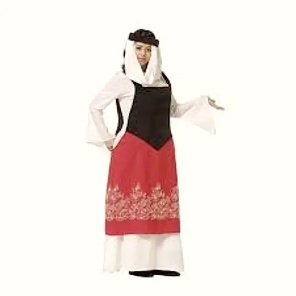 Disfraz Dama Medieval Catalina