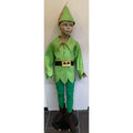 Disfraz Peter Pan Infantil – Traje Artesanal con Casaca, Pantalón