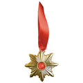 Medallon Dracula.Complementos Terror