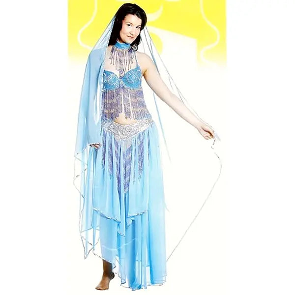 Adult Belly Dance Costume - Complete Set