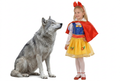 Kids Snow White Costume
