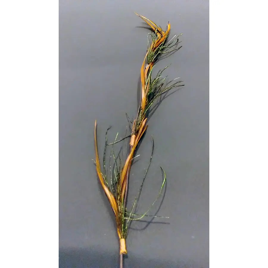 Pluma Adorno Cabello