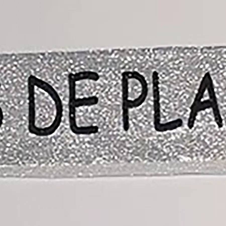Banda Bodas De Plata 1
