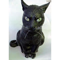 Gato Negro Decoración