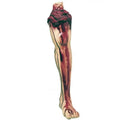 Bloody Leg