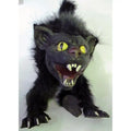 Gato Salvaje