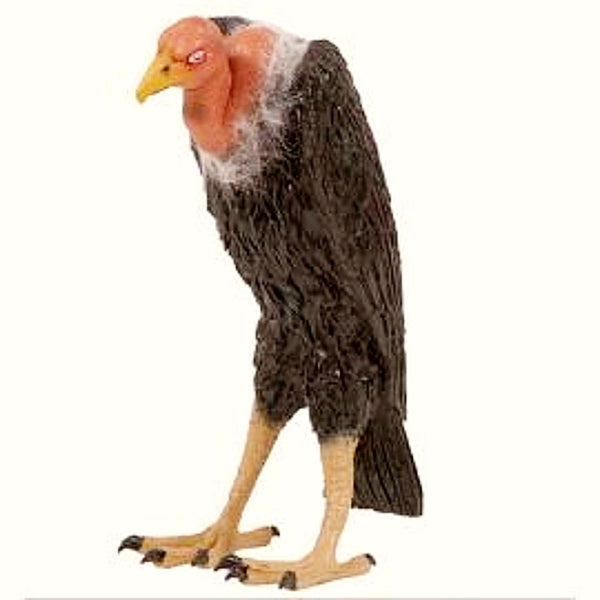 Buitre Con Plumas Dos