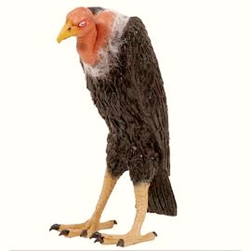 Buitre Con Plumas Dos