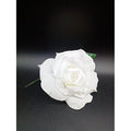Flor Blanca