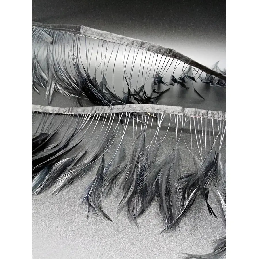 Cinta De Plumas Negras 10Cm Ancho De Pato