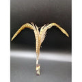 Plumas De Avestruz