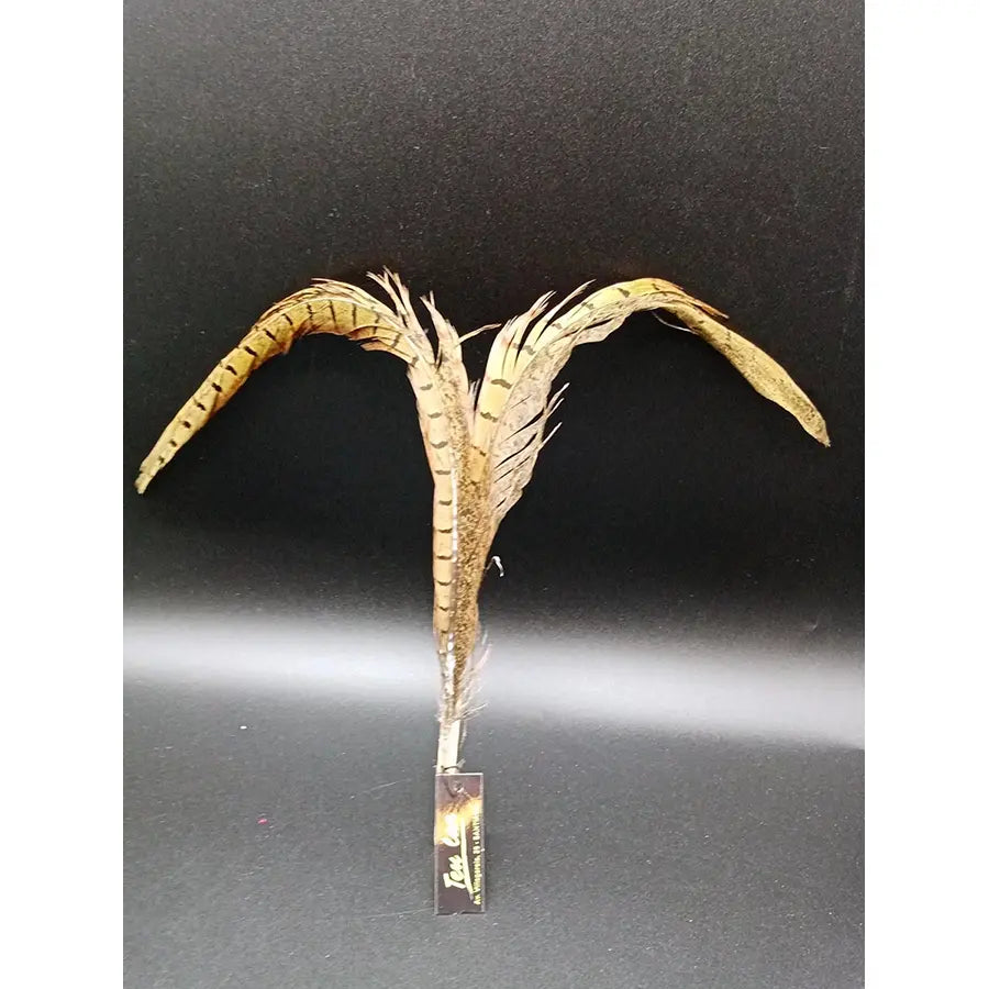 Plumas De Avestruz