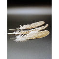 Set De 3 Plumas De Pato