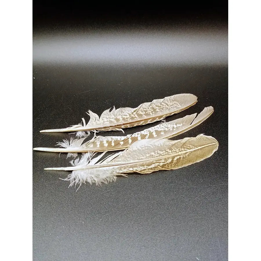 Set De 3 Plumas De Pato