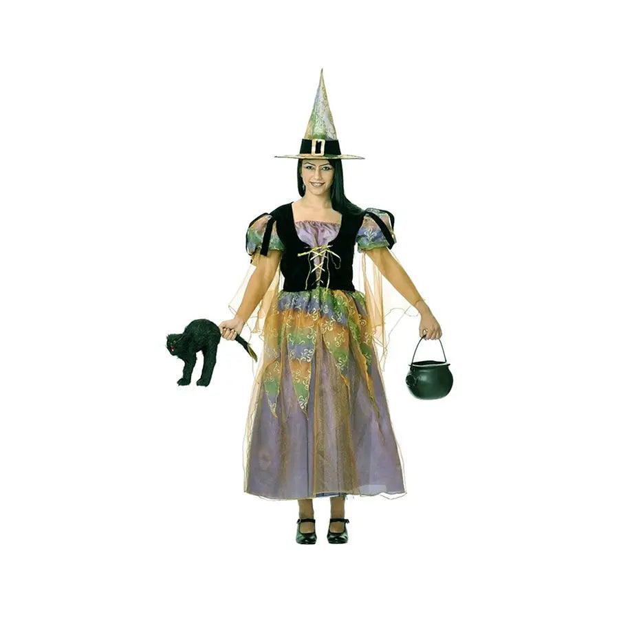 Disfraz Bruja Buena.