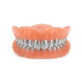 Dentadura de Metal – Accesorio de Disfraz